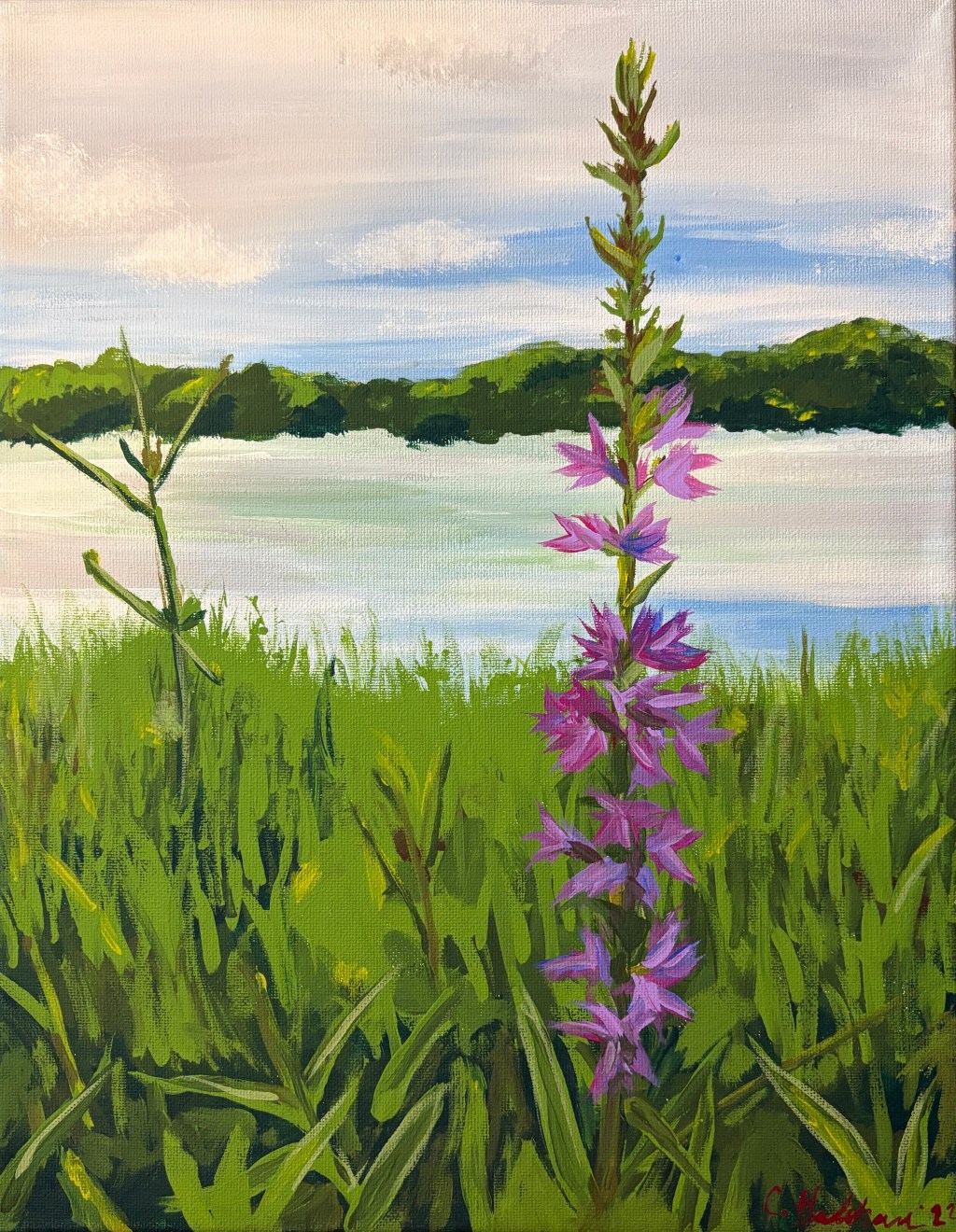 What’s your story?